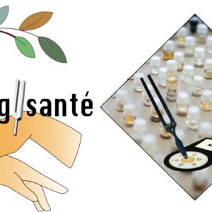 Formation Spagysanté