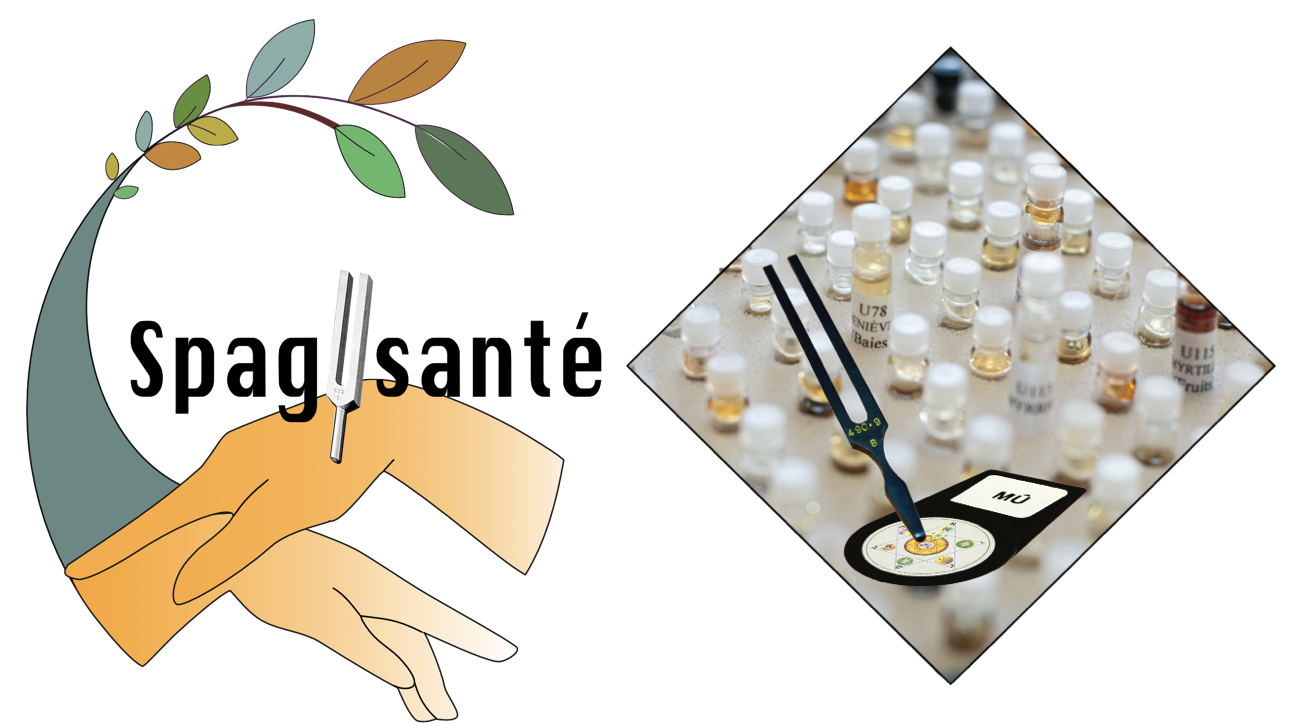 image pour produit formation Spagysanté