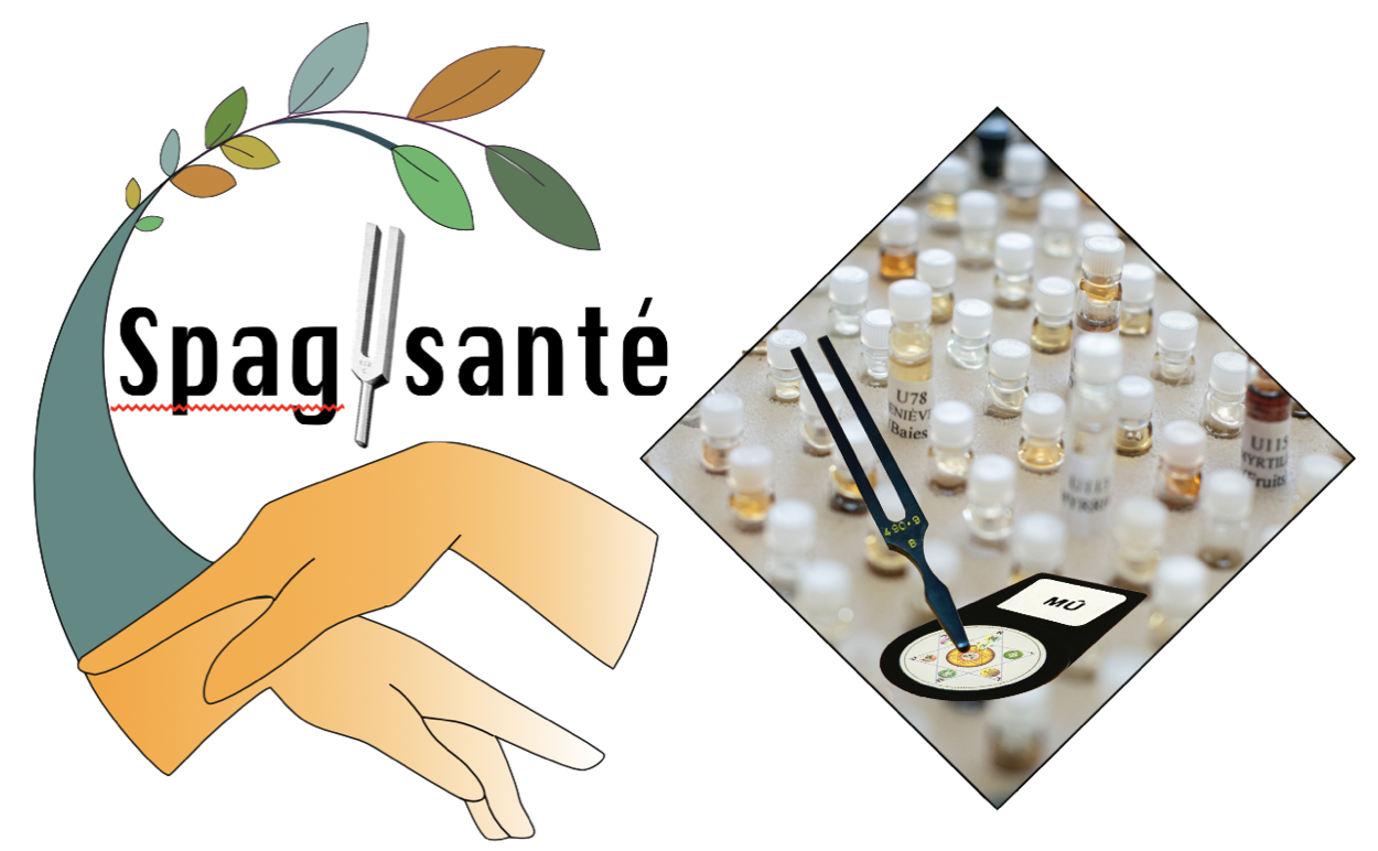 image pour produit formation Spagysanté