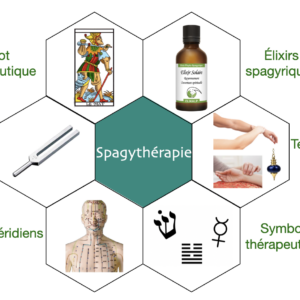 Formation commencer en Spagythérapie élèves Épinoia
