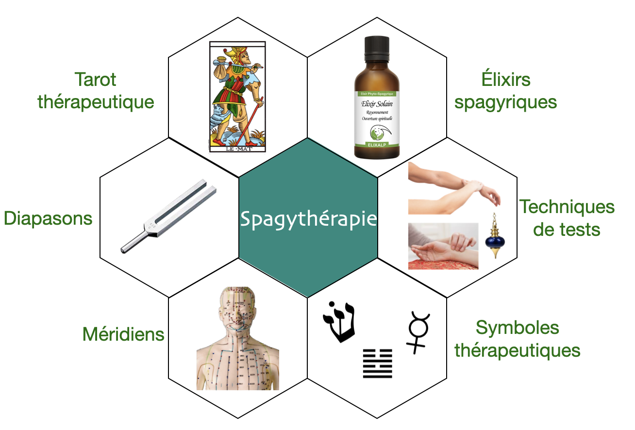 Formation commencer en Spagythérapie