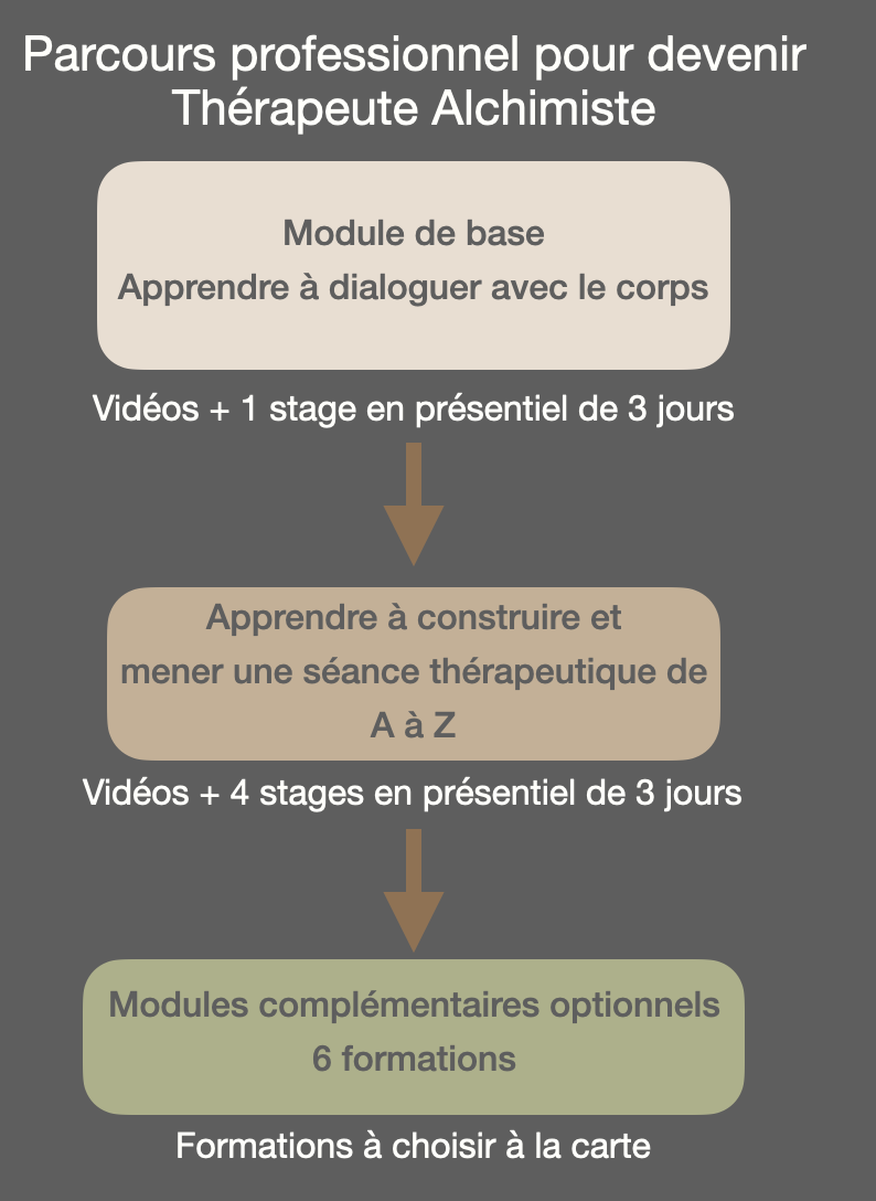 Parcours formations pour devenir Thérapeute Alchimiste